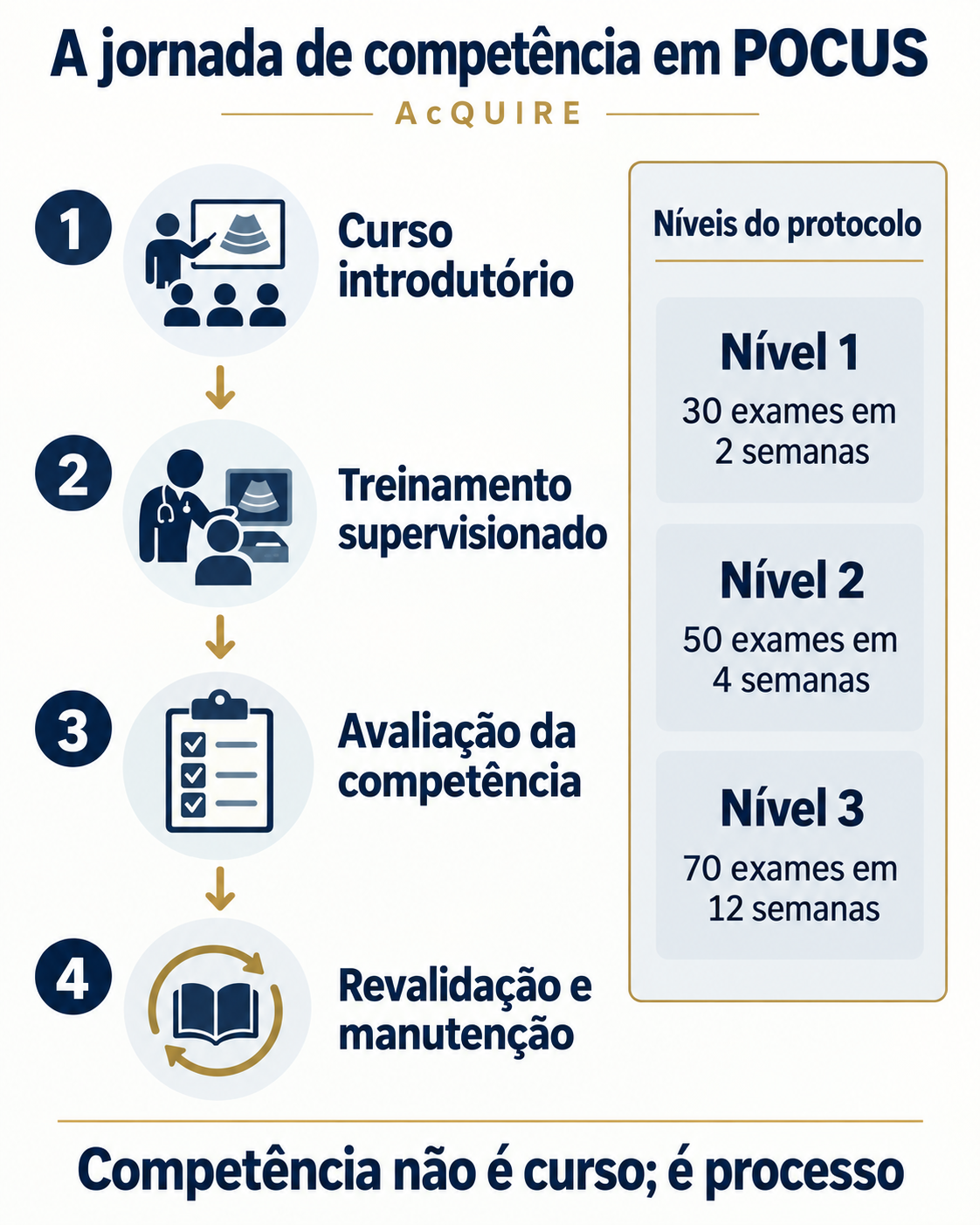 Infográfico mostrando as etapas de formação e manutenção da competência em POCUS: curso introdutório, treinamento supervisionado, avaliação e revalidação.