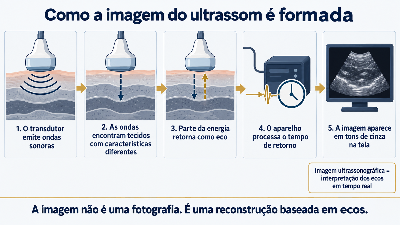 Infográfico mostrando como o transdutor emite ondas sonoras, recebe ecos e gera a imagem ultrassonográfica na tela.