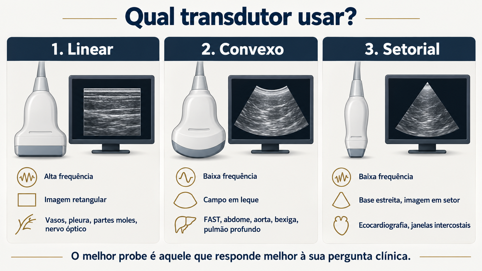 Infográfico comparando os transdutores linear, convexo e setorial, com suas principais aplicações no POCUS.